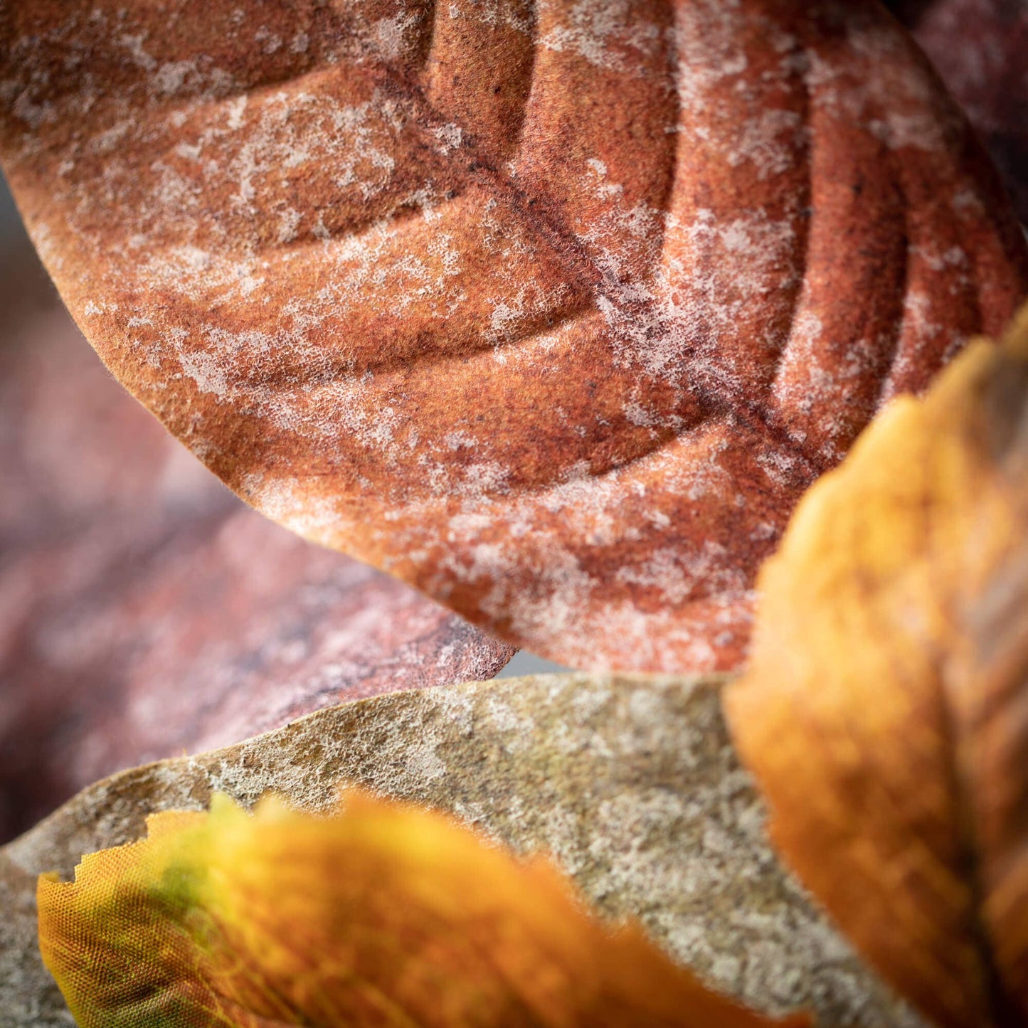Warm Fall Mixed Leaf Wreath