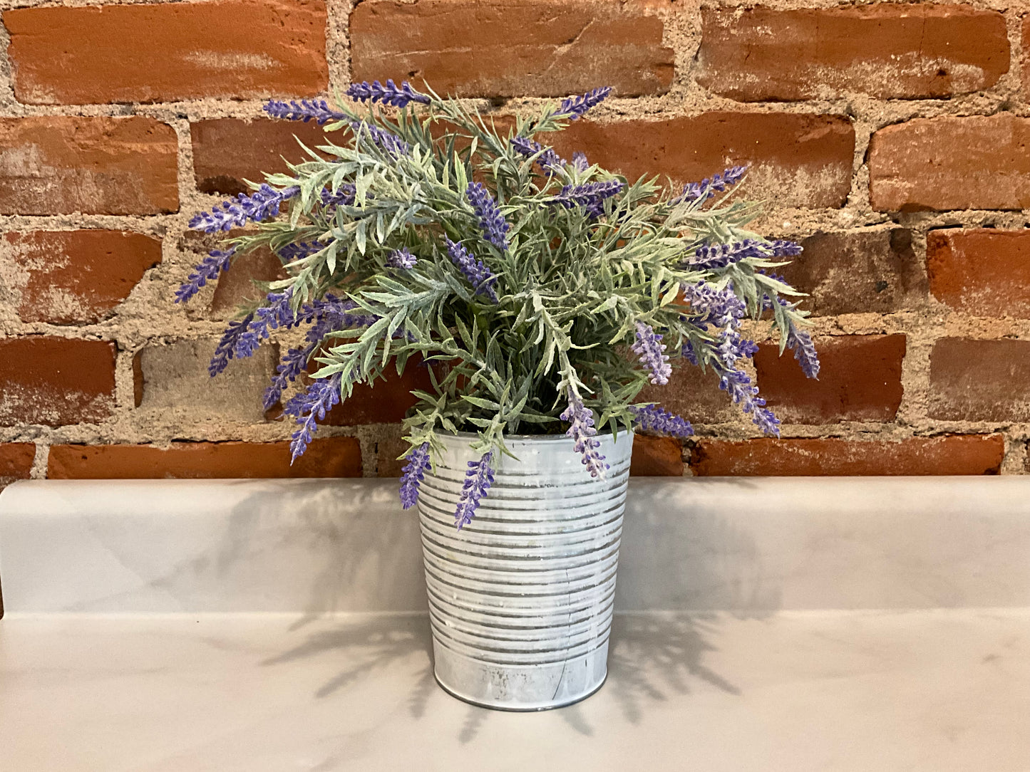Faux Indigo Plant