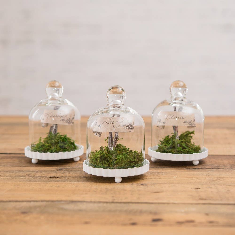 Small Glass Bell Jar