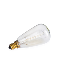 Melter Replacement Bulb NP3 Edison