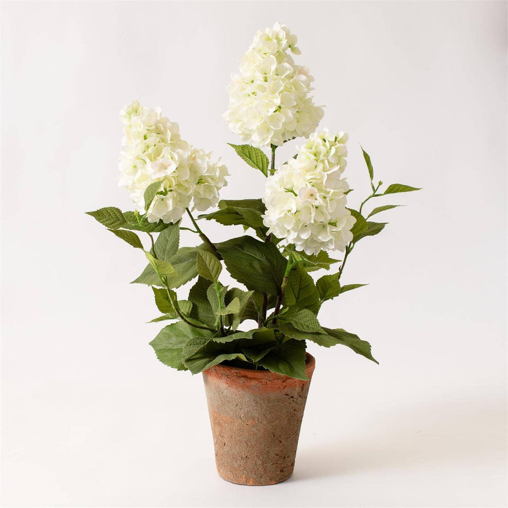 White Hydrangea Pot
