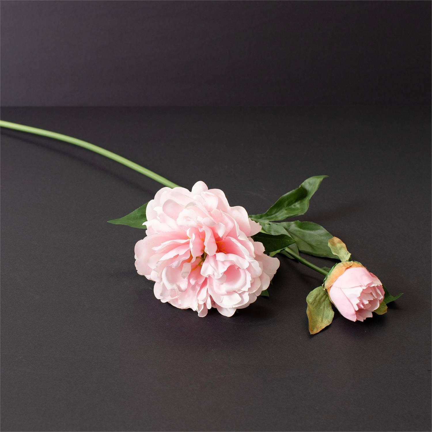 Light Pink Real Touch Peony Stem