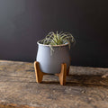 Belle Planter Pot With Stand Vintage Blue Metal
