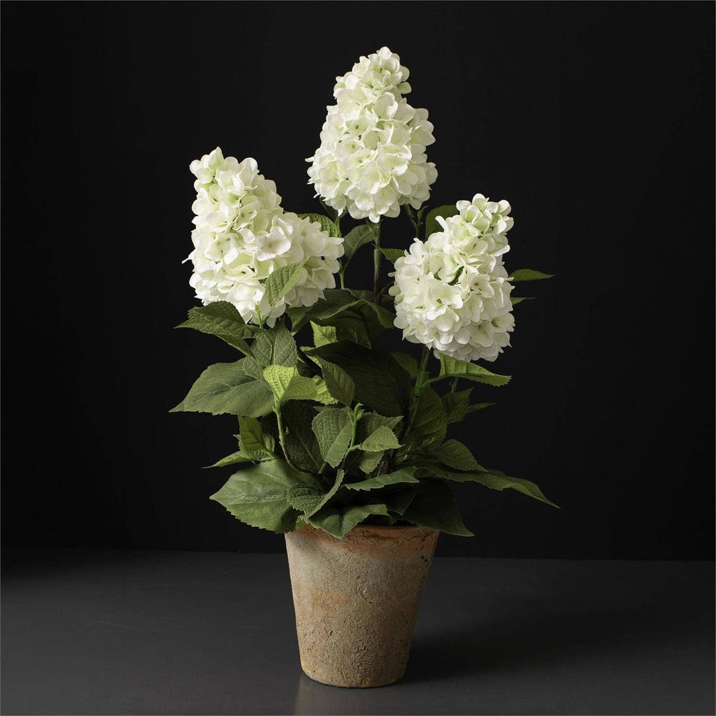 White Hydrangea Pot