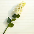 White Cone Hydrangea Pick