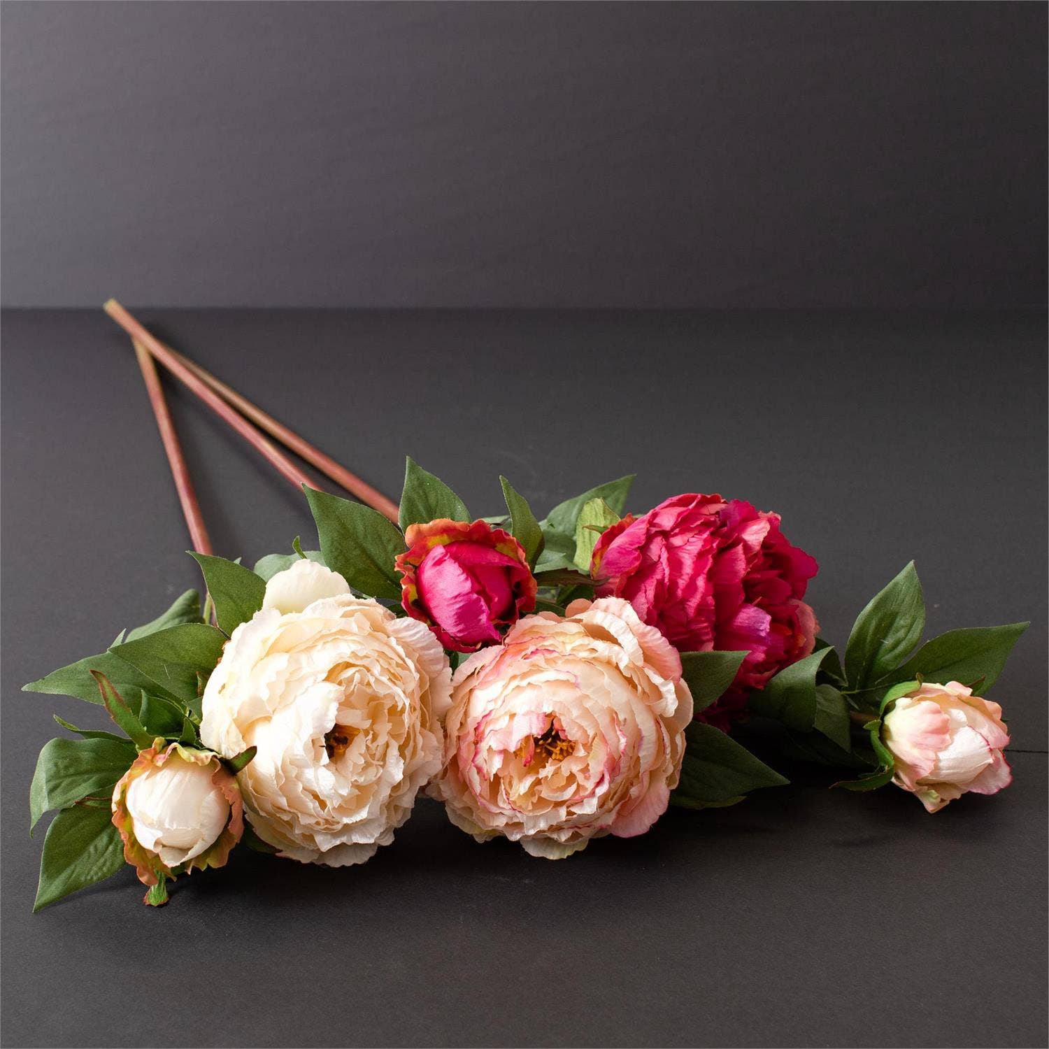 Peony With Bud Stem