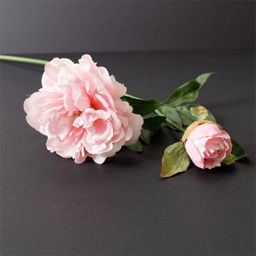 Light Pink Real Touch Peony Stem