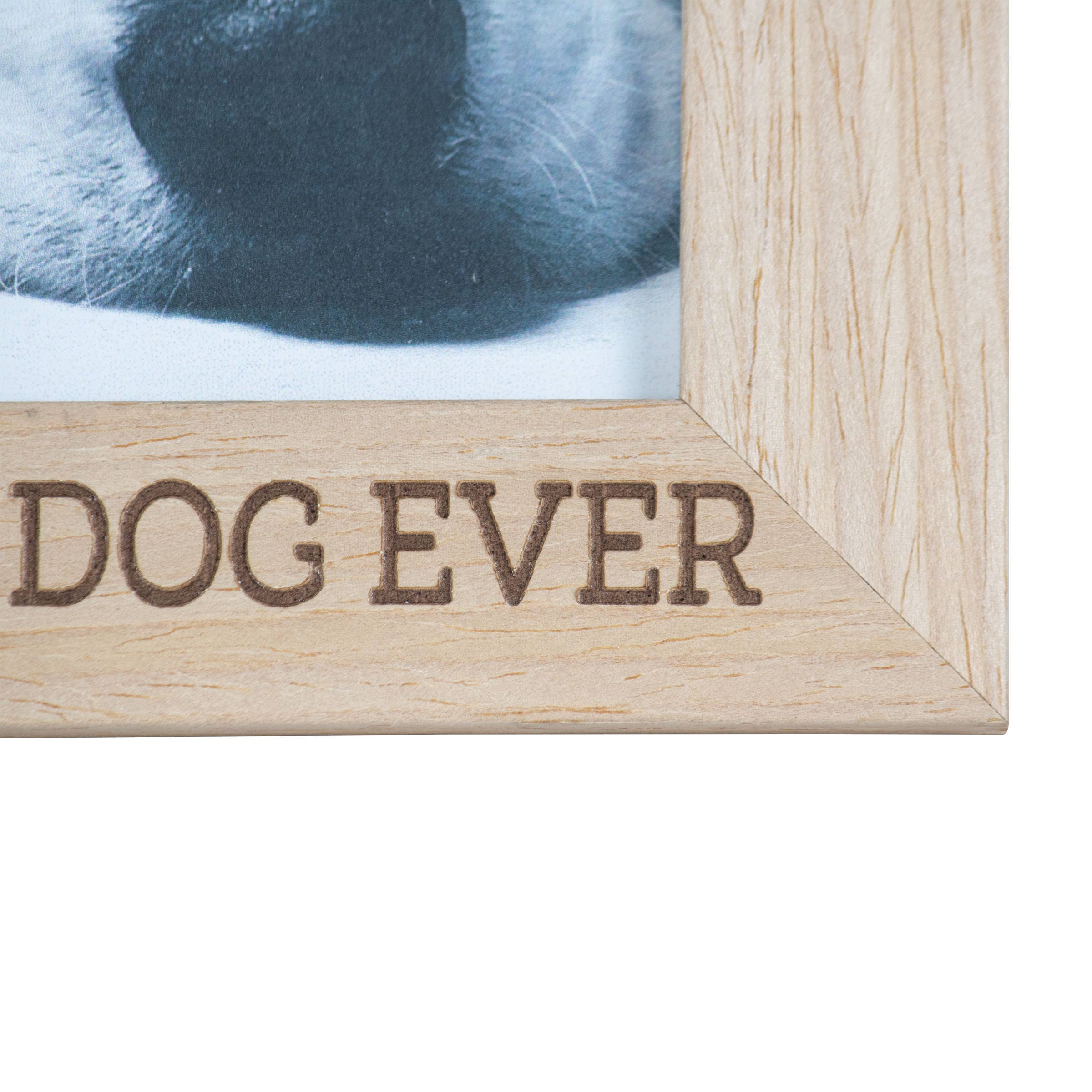 4x6 Photo "Best Dog Ever" Wood Picture Frame Dog Decor