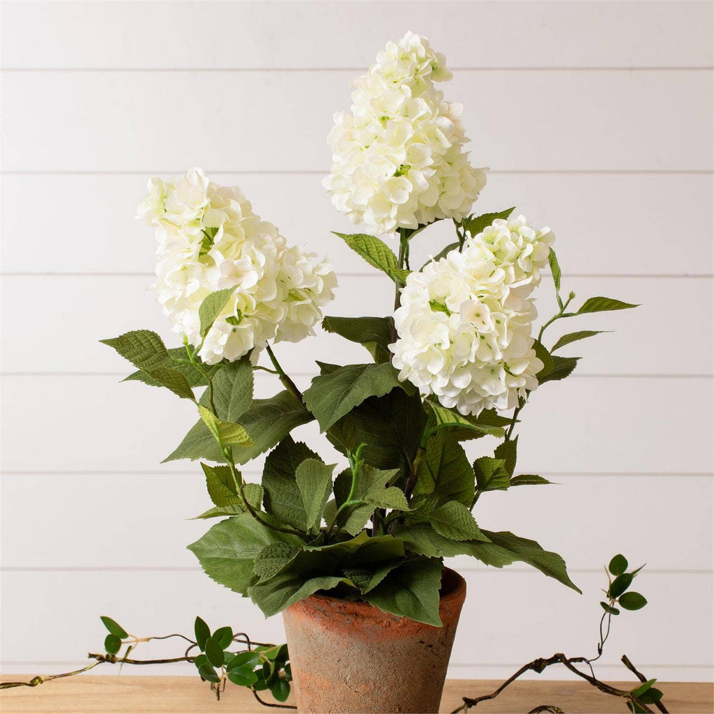 White Hydrangea Pot