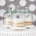 Small Glass Bell Jar