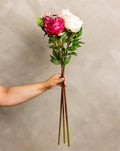 Peony With Bud Stem