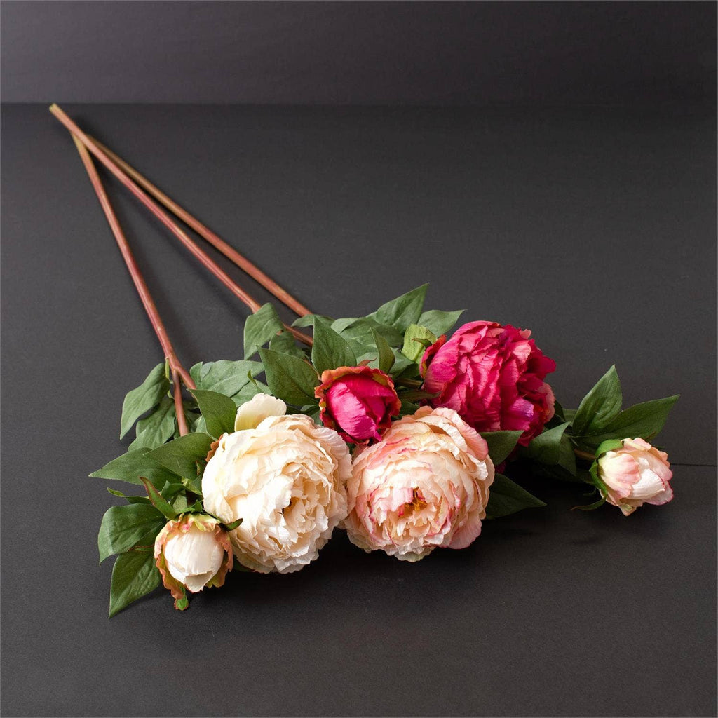 Peony With Bud Stem