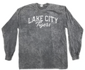 Lake City Tigers Script Adult Long Sleeve Tee