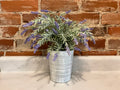 Faux Indigo Plant