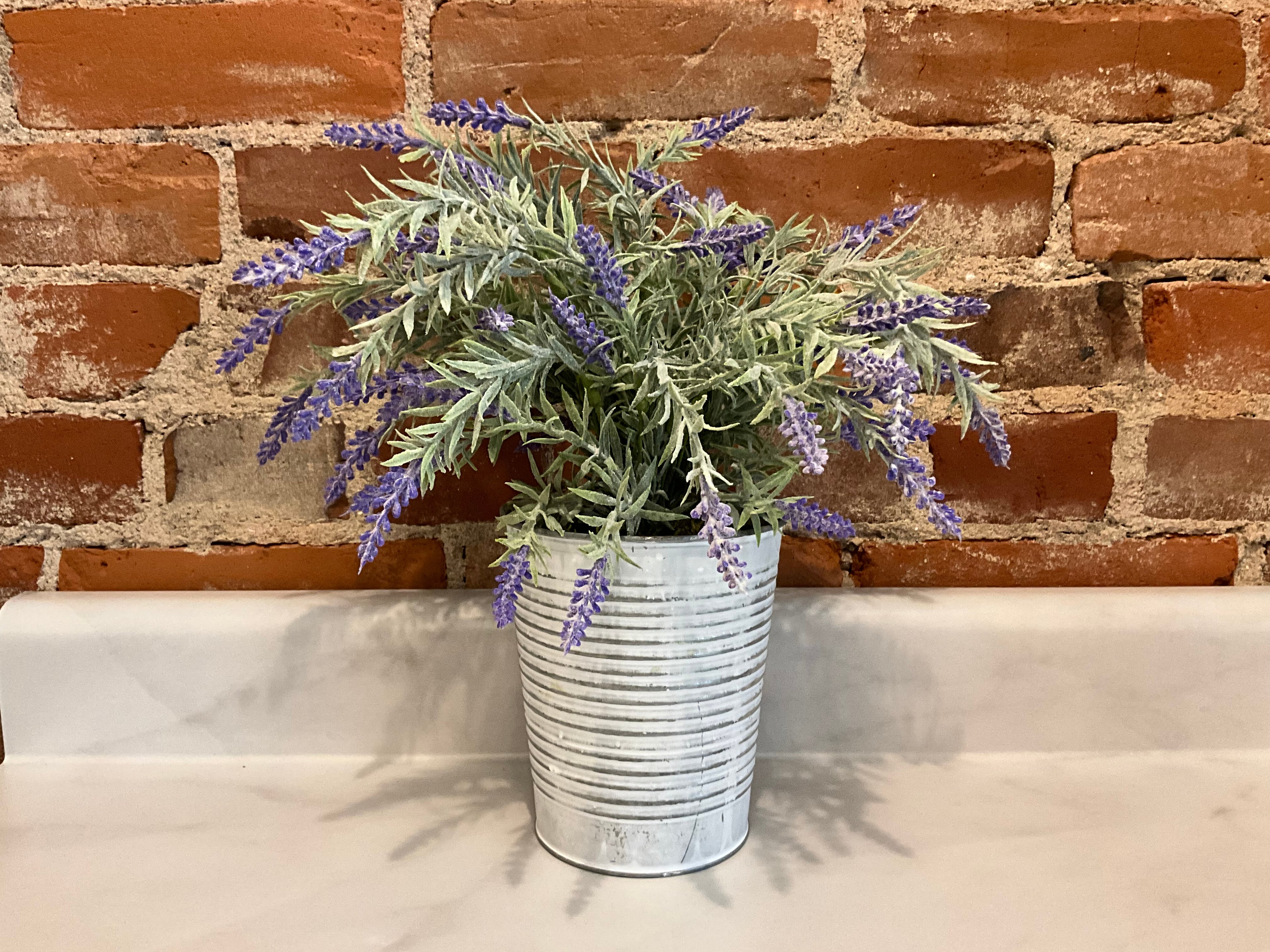 Faux Indigo Plant