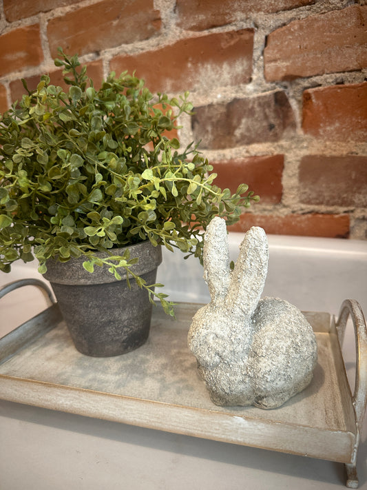 Small Bunny Home Decor