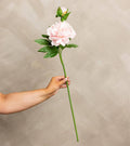 Light Pink Real Touch Peony Stem