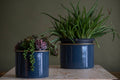 Doreen Planters