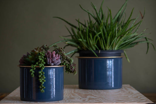 Doreen Planters