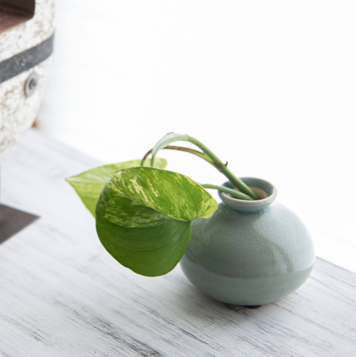 Tegan Seafoam Ceramic Bud Vase