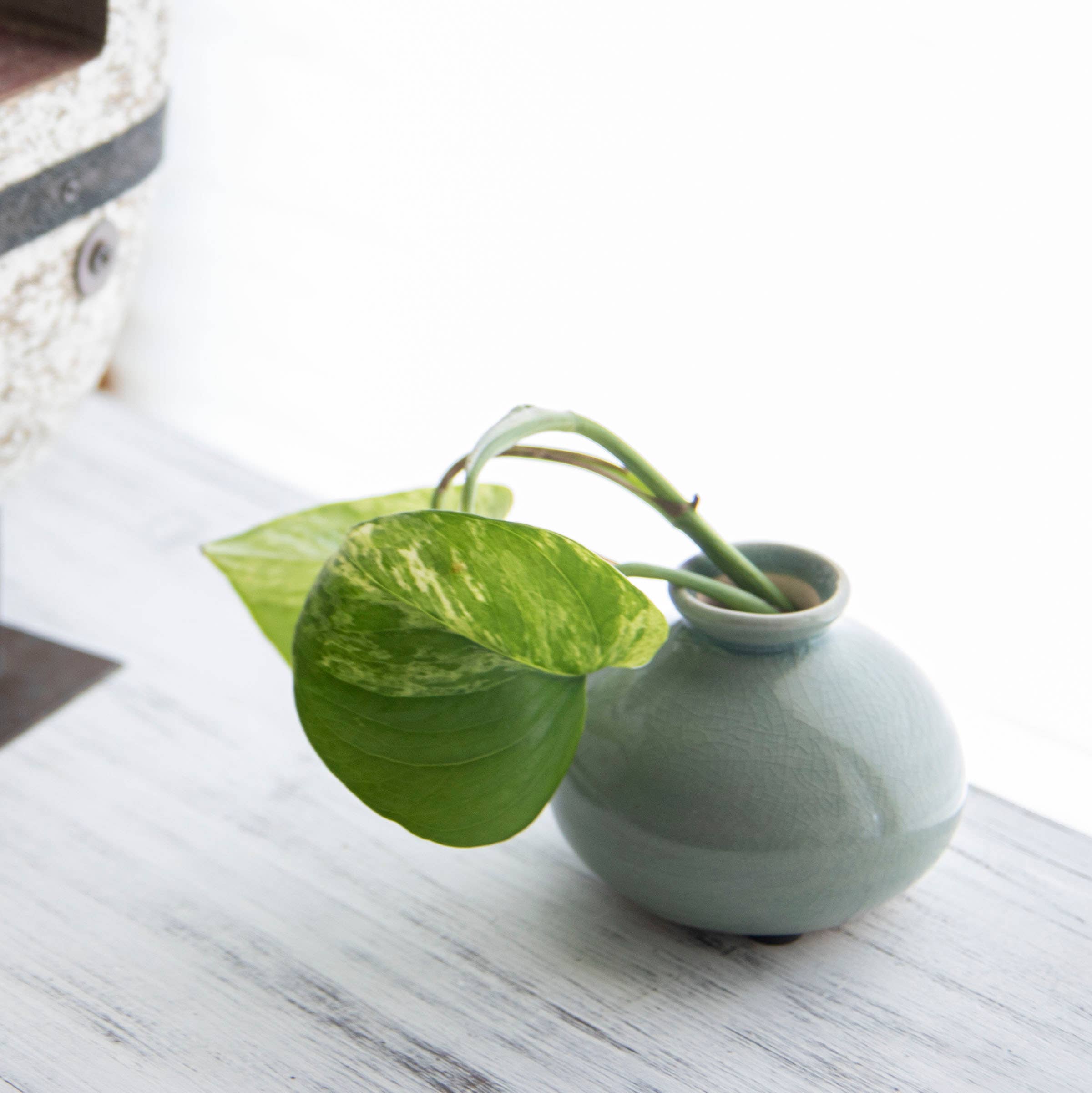 Tegan Seafoam Ceramic Bud Vase
