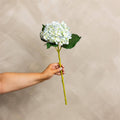 Hydrangea Light Blue Stem