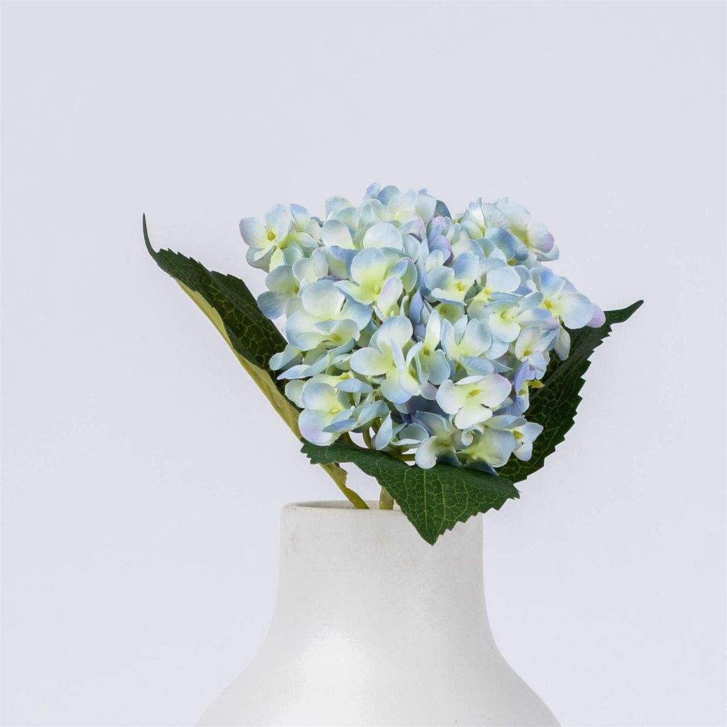 Hydrangea Light Blue Stem