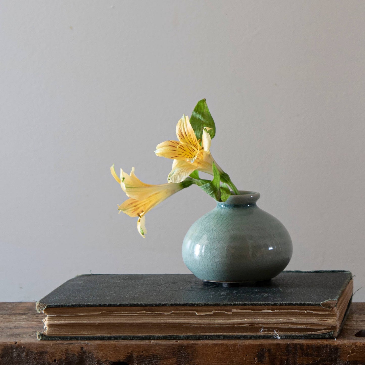 Tegan Seafoam Ceramic Bud Vase