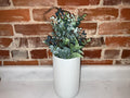 White Vase