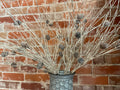 Pine Cone Glitter Picks