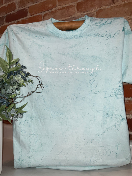 Grow Through What You Go Through Adult Unisex Teal Short Sleeve Tee