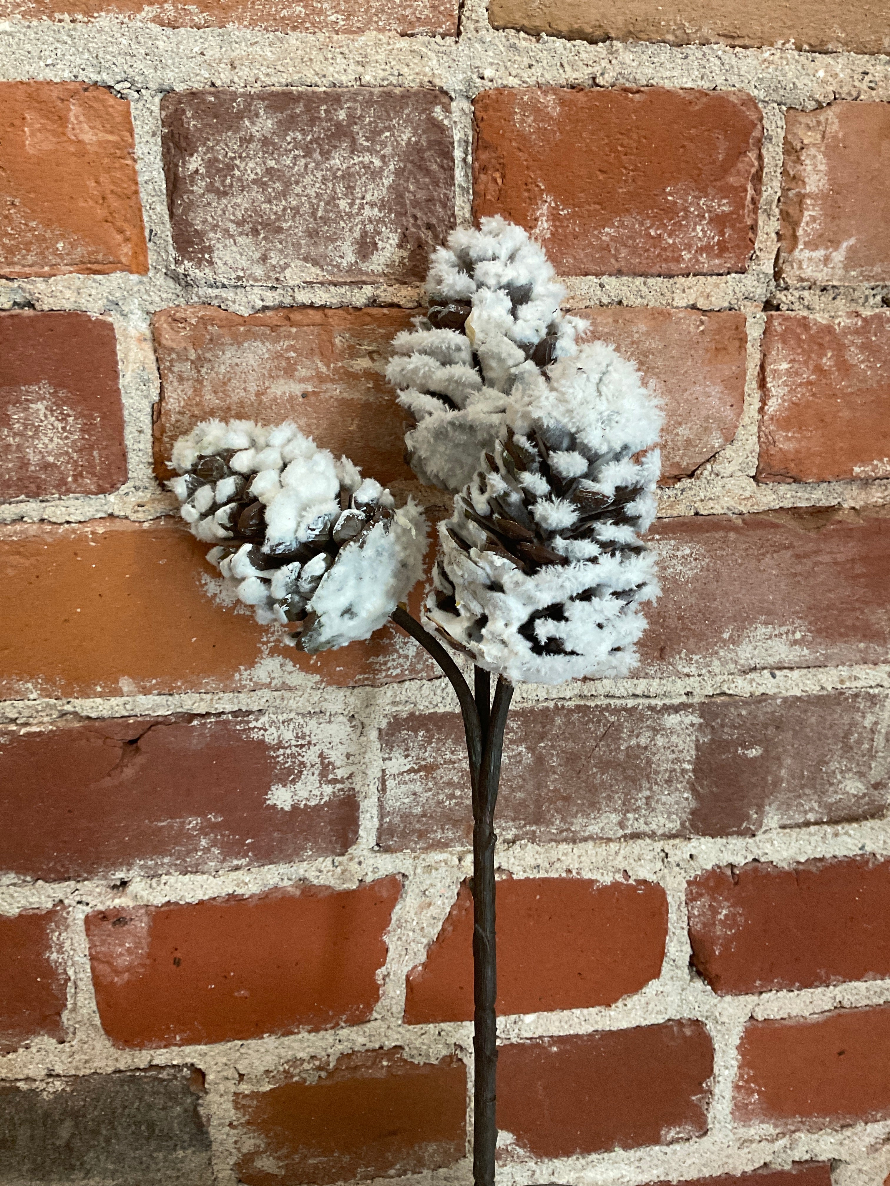 Pine Cone Pick